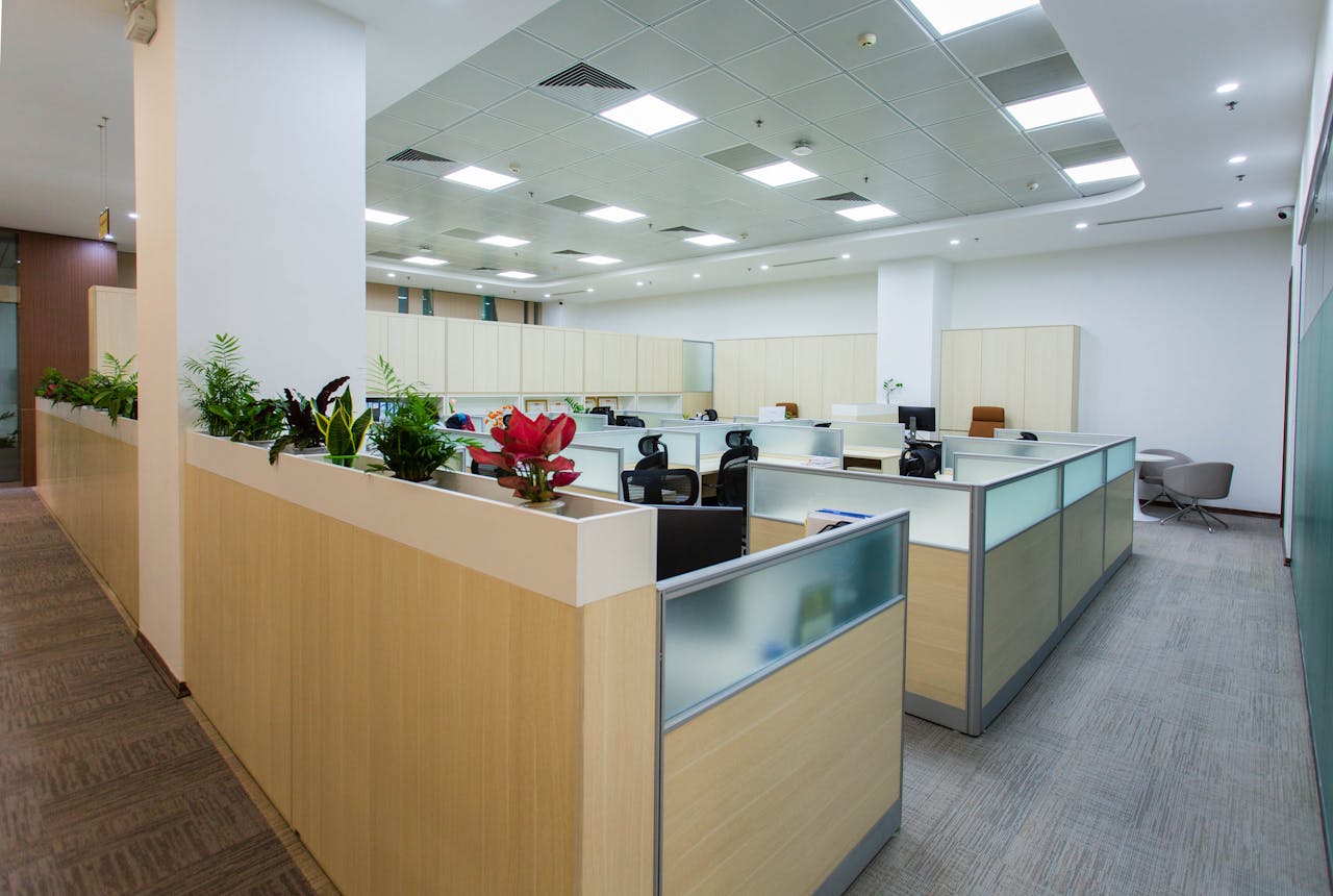 services-04 Spacious and bright open office area with cubicles, plants, and contemporary design.